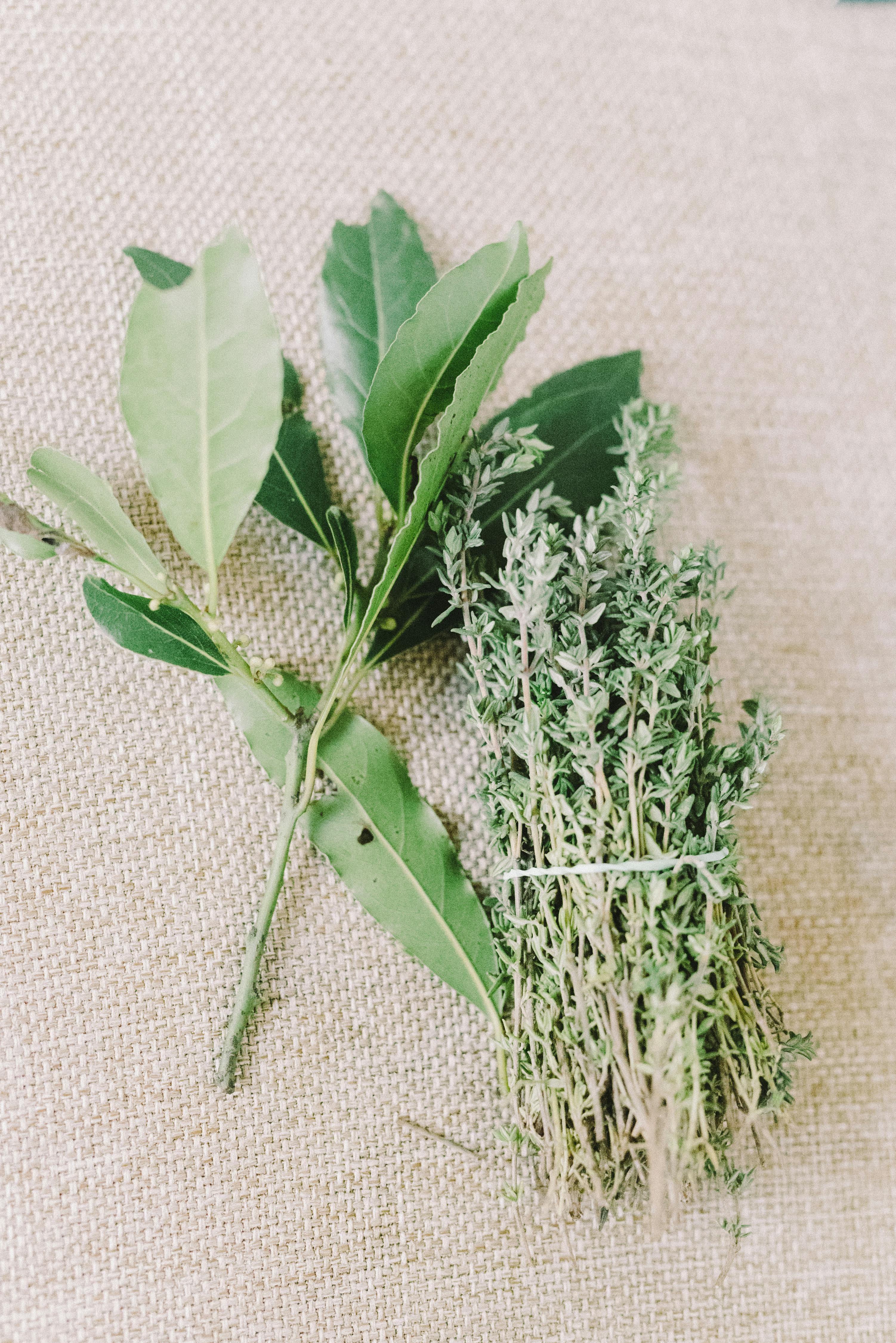 Herbs Used in Indian Cooking