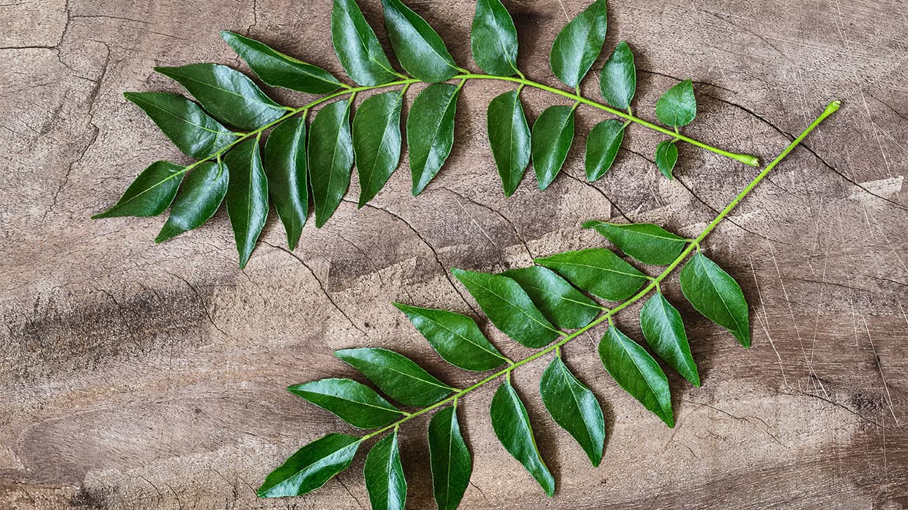 Fresh curry leaves