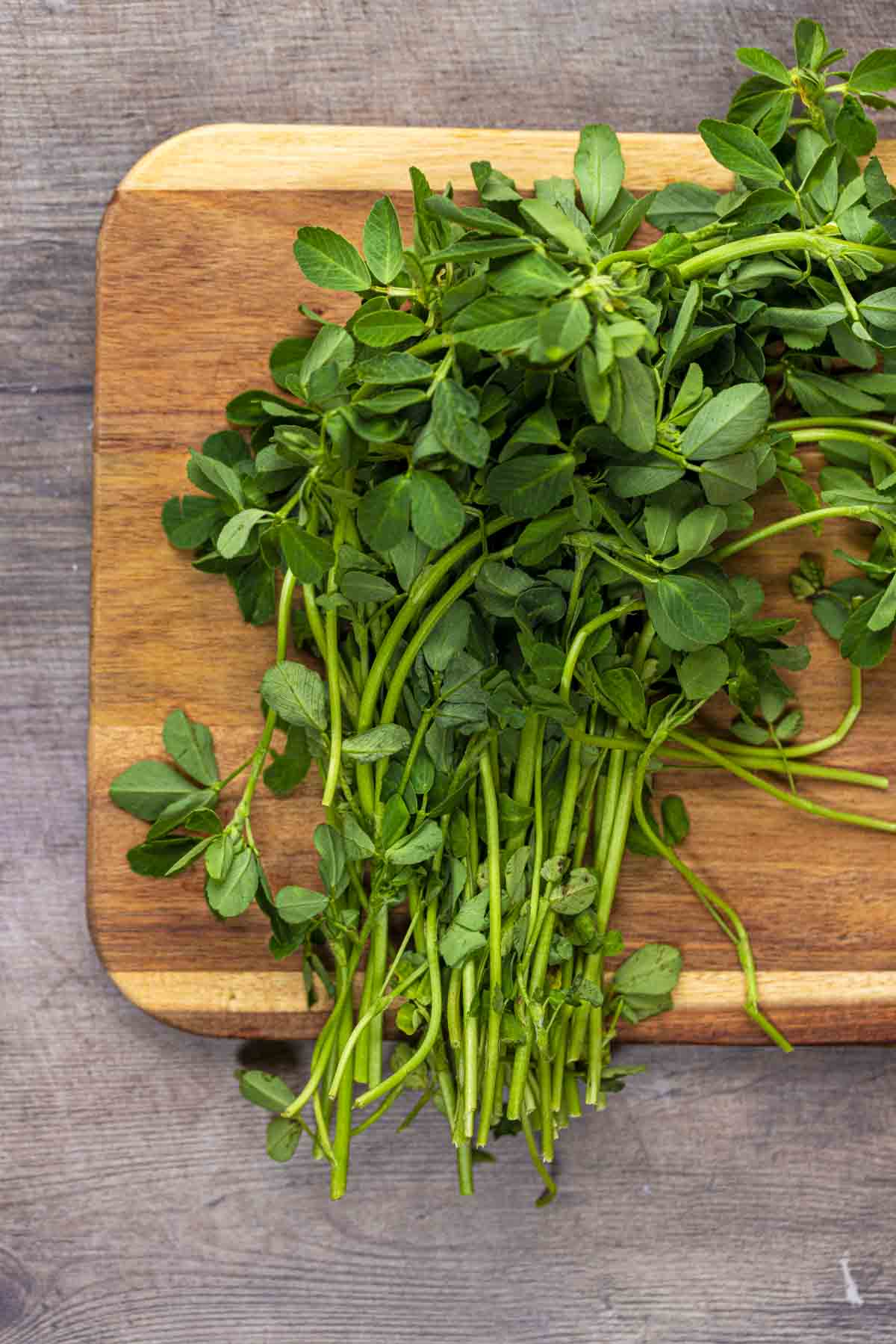 Fenugreek leaves (kasuri methi)