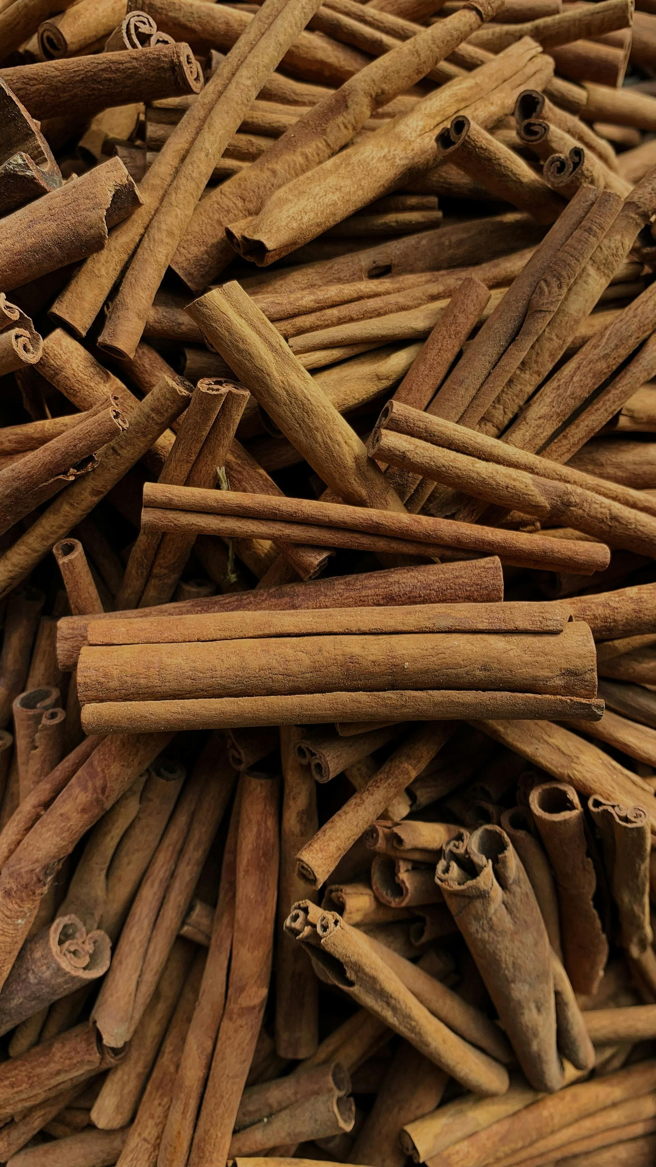 Cinnamon sticks used in Indian cooking